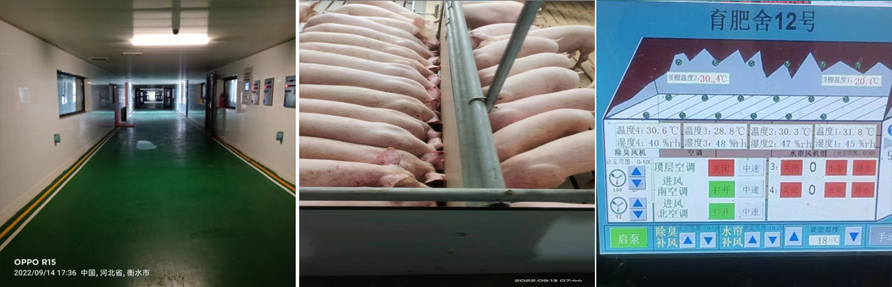 1669791034510936.jpg 17.jpg